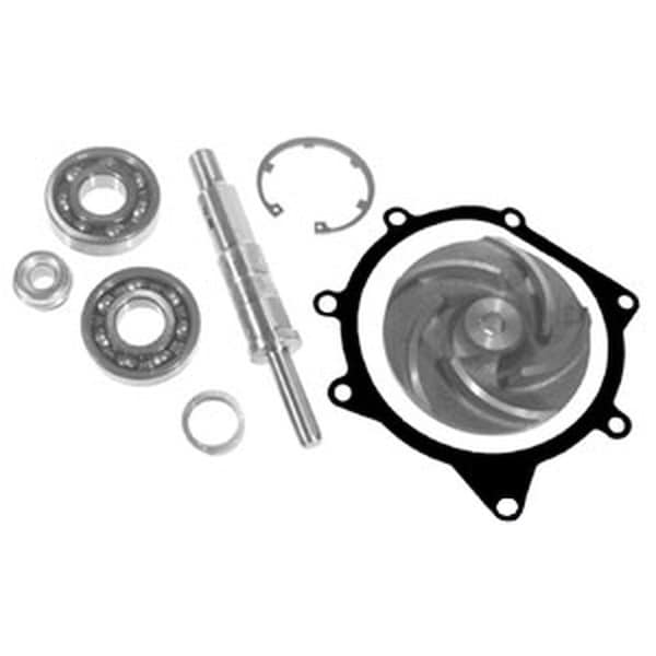 Aftermarket 3641379M91 Repair Kit w/ Pump Fits Massey Ferguson Tractors 2640 399 747771M91 CSU80-0081 - main